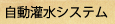 󐅃VXe