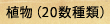 Ai20ށj